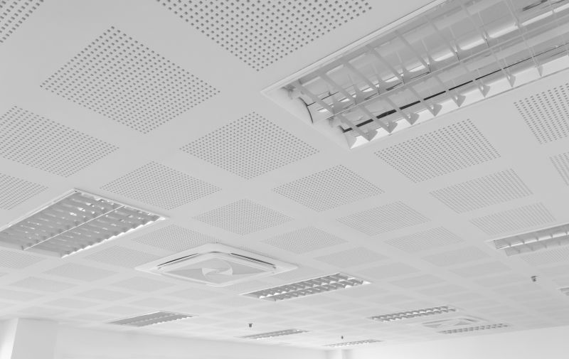 Office Ceiling Mounting