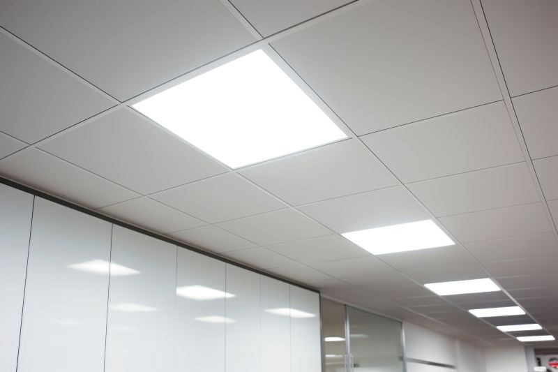 Office Ceiling Mounting